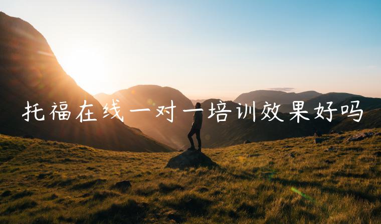 托福在線一對(duì)一培訓(xùn)效果好嗎